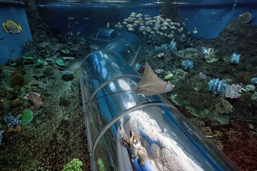 ที่เที่ยวจอมเทียน Underwater World Pattaya