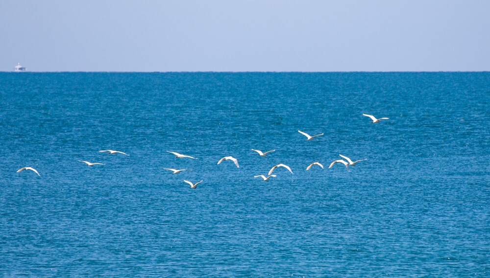 คอนโดวิวทะเล